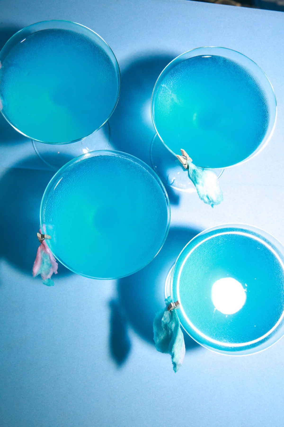 The Blue Table Series Vol. 3 — image 2